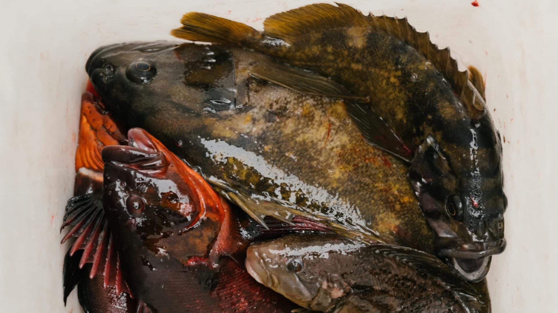 036d82ef b9c2 47dc af7b e1623e3a45ec scaled