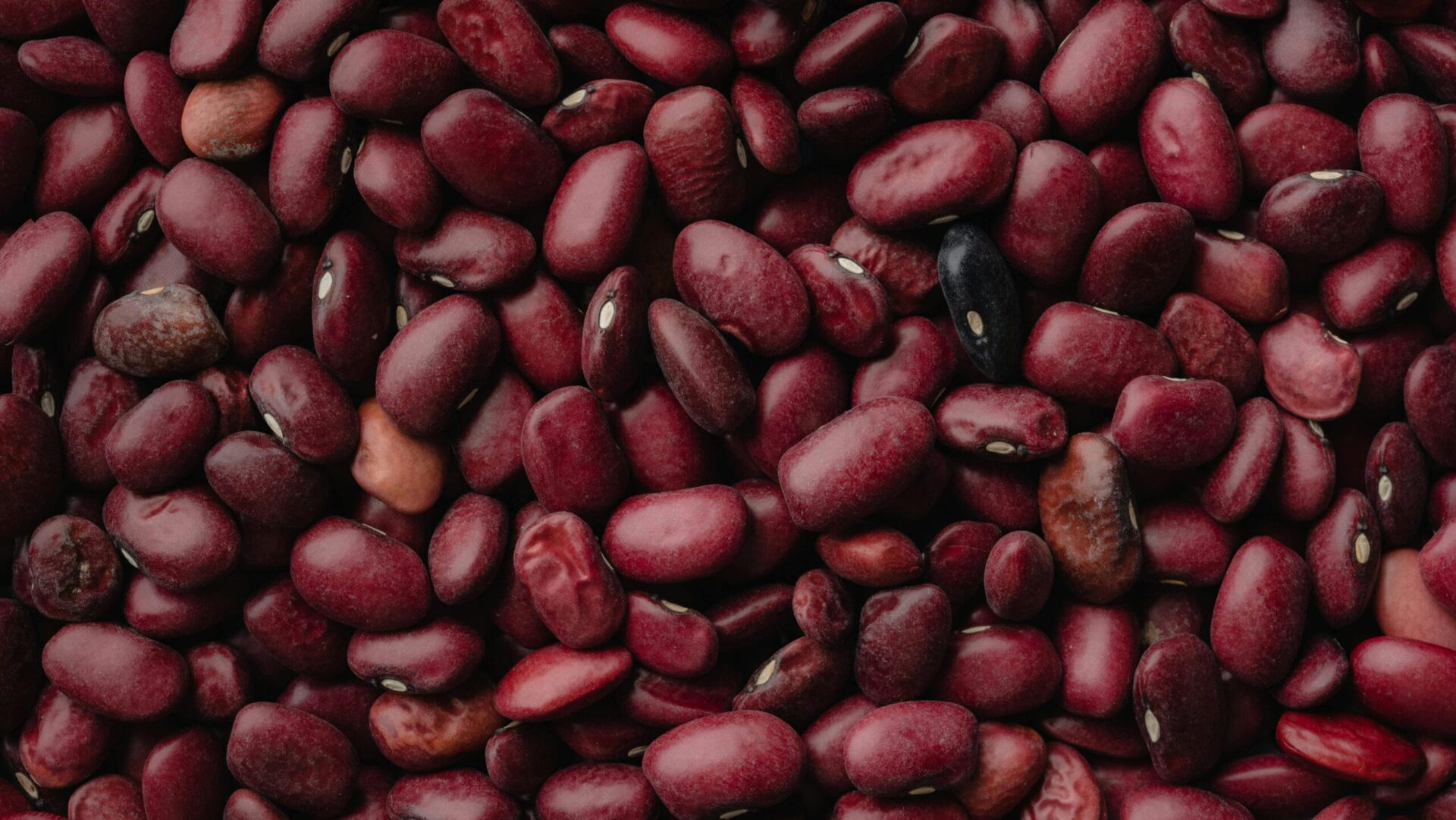 Purple Black Bean Soup scaled